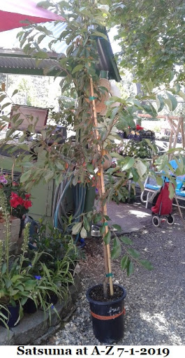 Hardware Store «A to Z Supply», reviews and photos, 13396 Ridge Rd, Grass Valley, CA 95945, USA