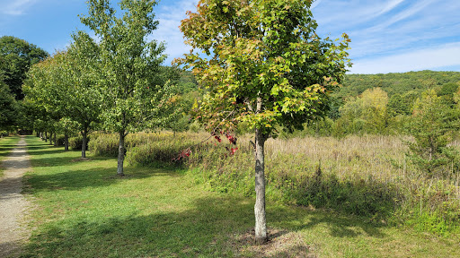 Tourist Attraction «Dover Stone Church», reviews and photos, 3128 NY-22, Dover Plains, NY 12522, USA