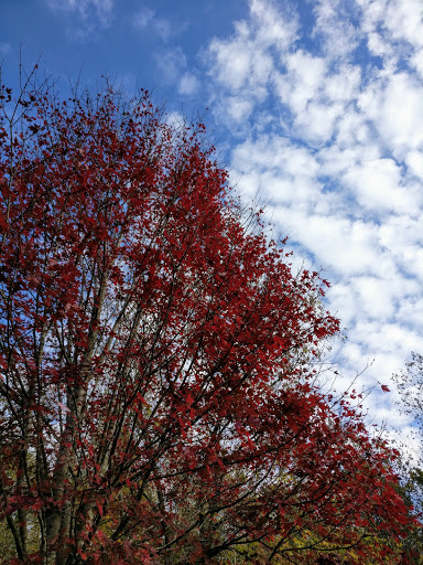 Park «East Cobb Park», reviews and photos, 3322 Roswell Rd, Marietta, GA 30068, USA