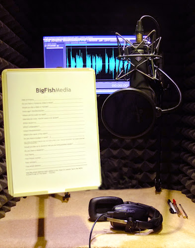 Reviews of BigFish Media Voiceovers in Woking - Music store