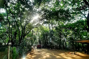 Arboretum Forest image