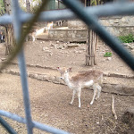 Photo n°24 de l'avis de Daniel.r fait le 11/04/2023 à 17:27 sur le  Agriturismo Fattoria Pasqué à Casale Litta