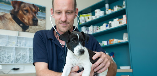 Dr. Arnold Bonitz Tierarztpraxis unter Hornbach, 