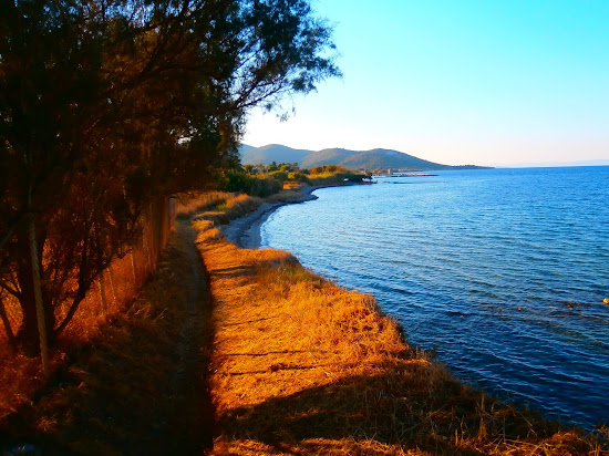 Kanoni beach
