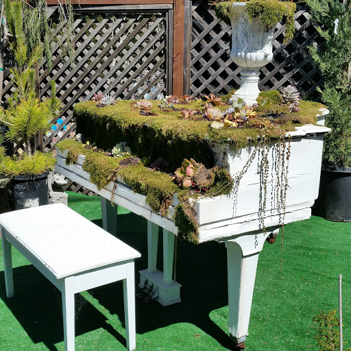 Florist «Cambria Nursery & Florist», reviews and photos, 2801 Eton Rd, Cambria, CA 93428, USA