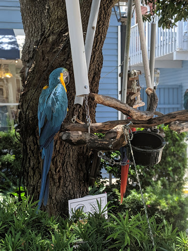 T-shirt Store «Salty Dog T-Shirt Factory», reviews and photos, 232 S Sea Pines Dr #305, Hilton Head Island, SC 29928, USA