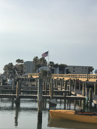 Explore irish tattoo ideas for females, creative tattoo ideas in South Padre Island, available at Peggys Temporary & Permanent Tattoos