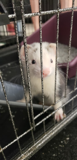 Pet Supply Store «Pet Supplies Plus», reviews and photos, 26230 Hoover Rd, Warren, MI 48089, USA