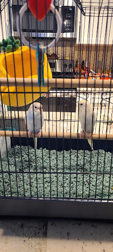 Pet Supply Store «PetSmart», reviews and photos, 6060 Long Prairie Rd, Flower Mound, TX 75028, USA