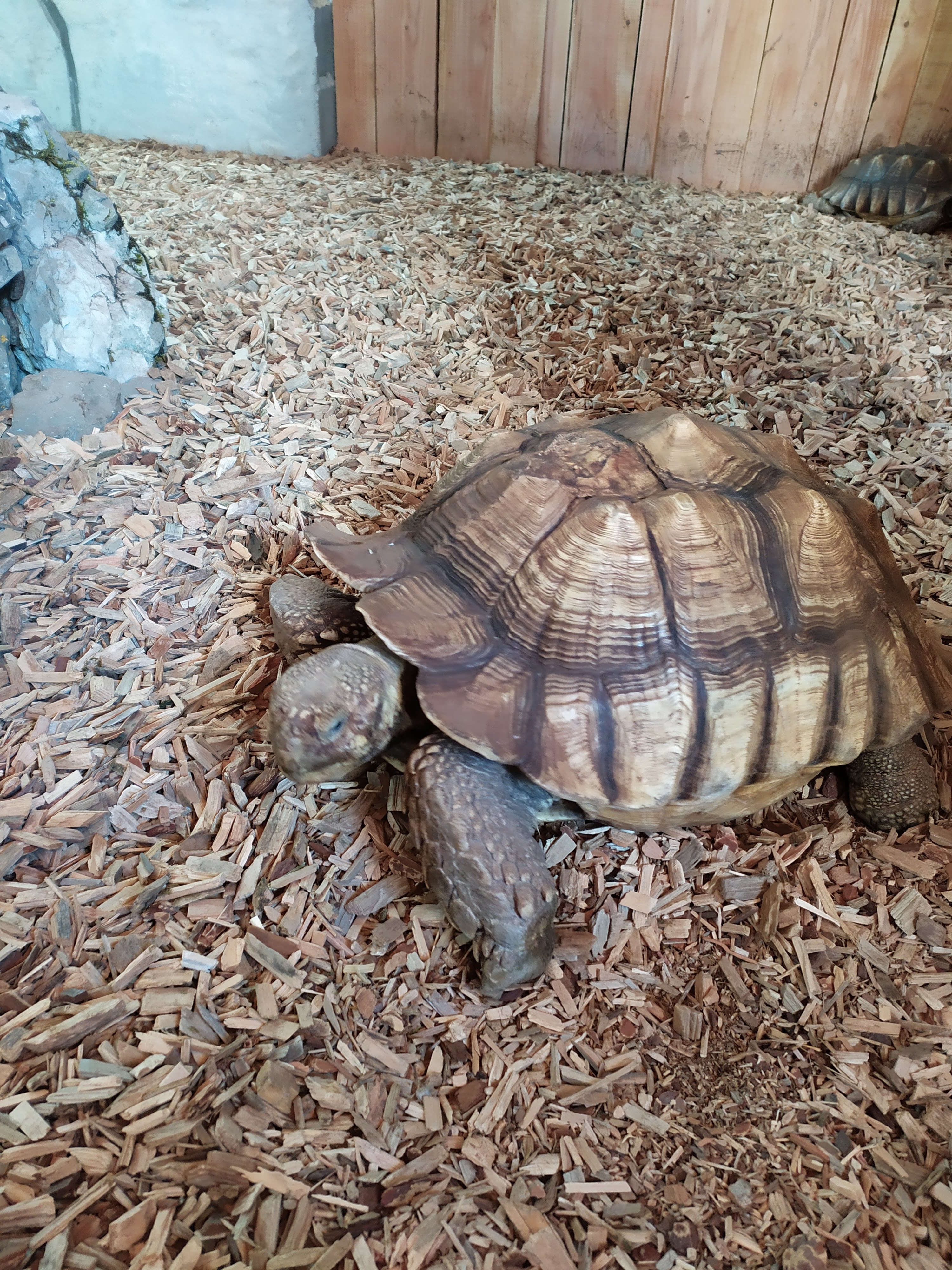 Photo n° 3 de l'avis de Hélodie. fait le 25/08/2020 à 06:29