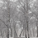 Photo n°5 de l'avis de Micaela.e fait le 06/01/2024 à 10:36 sur le  Albergo Ristorante Baitock à Pian delle Betulle