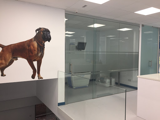 Hospital Veterinario Parque de Berlín en Madrid