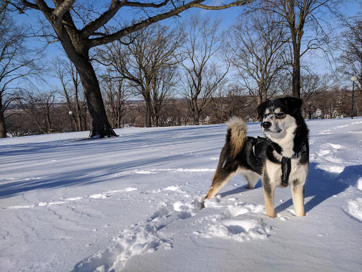 Park «Deming Heights Park», reviews and photos, 1115 St Anthony Pkwy, Minneapolis, MN 55418, USA