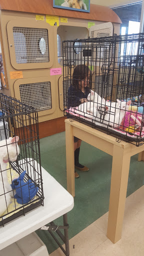 Pet Supply Store «Petco Animal Supplies», reviews and photos, 5975 20th St, Vero Beach, FL 32966, USA
