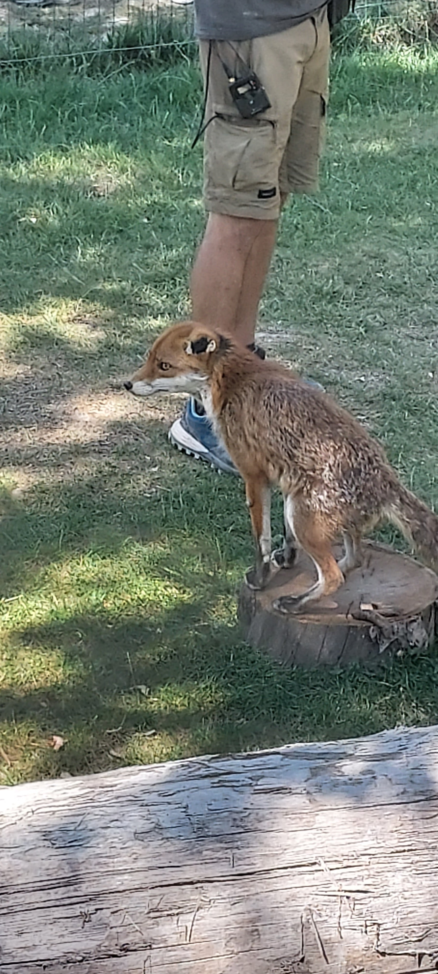 Photo n° 6 de l'avis de Isabelle.a fait le 21/07/2022 à 23:00