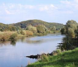 Hundeauslaufwiese LeineAb e.V. photo