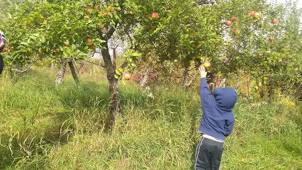 Circle K Orchard