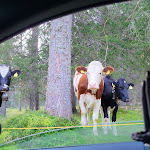 Photo n°3 de l'avis de M. fait le 14/09/2023 à 20:16 sur le  Hotel Croda Rossa à Toblach