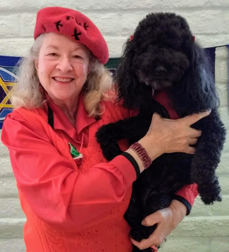 Pet Boarding Service «Bed and Biscuits / Groomingdales», reviews and photos, 2625 Chanticleer Ave, Santa Cruz, CA 95065, USA