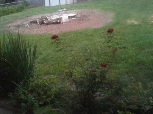 Plumber «Affordable Plumbing Maintenance», reviews and photos, 4923 N 93rd Ave, Omaha, NE 68134, USA