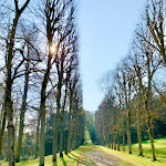 Photo n° 36 de l'avis de Agnès. fait le 27/03/2022 à 10:02 pour Domaine national de Saint-Cloud à Saint-Cloud