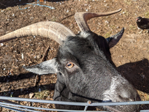 Winery «Baldwin Vineyards», reviews and photos, 176 Hardenburgh Rd, Pine Bush, NY 12566, USA