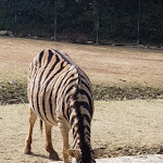Photo n°1 de l'avis de Francesca.u fait le 10/02/2019 à 17:02 sur le  Parco Zoo Falconara Srl à Falconara Marittima
