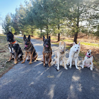 Taylor'd Dog Services LLC - Photo 2 - Car repair in Sharon, PA, Youngstown