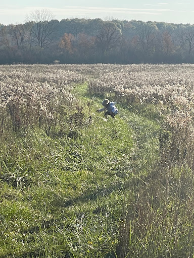 Nature Preserve «Penny Road Pond», reviews and photos, Penny Rd, Barrington, IL 60010, USA