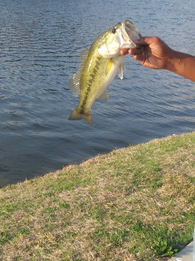 Park «Waterview Park», reviews and photos, 1700 Whitecliff Dr, Duncanville, TX 75137, USA