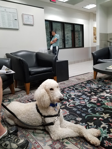 Car Dealer «Criswell Honda», reviews and photos, 19525 Amaranth Dr, Germantown, MD 20874, USA