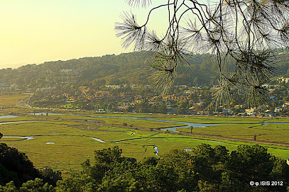 Torrey Preserve