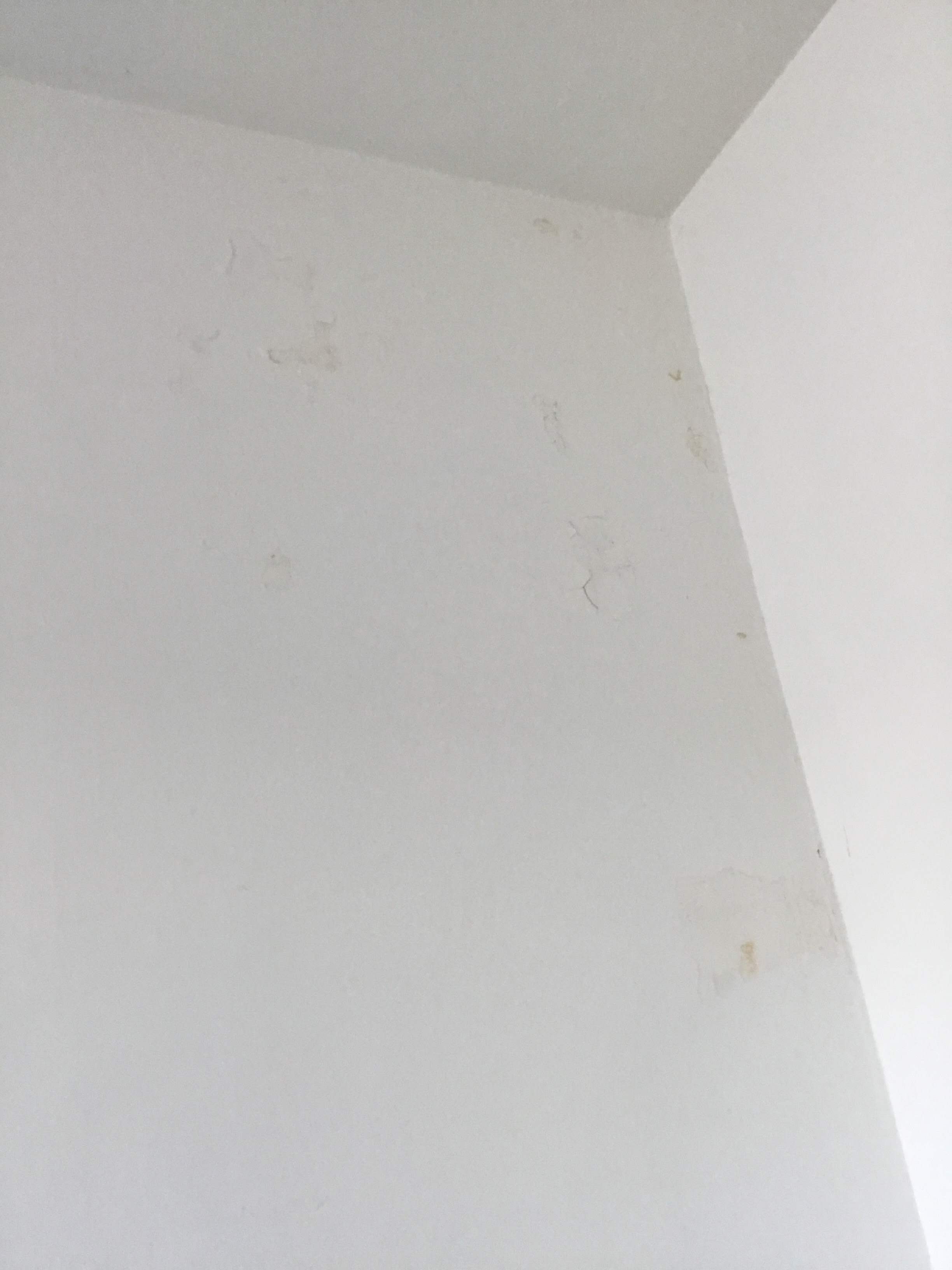 Photo n° 1 de l'avis de Ruddy.o fait le 09/03/2024 à 12:37