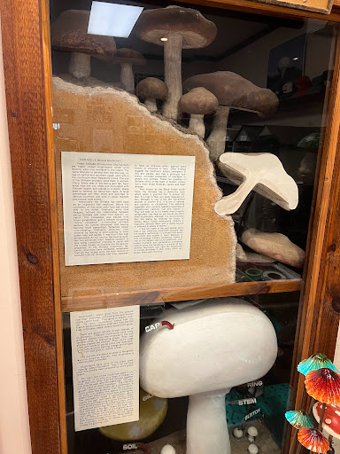 Gift Shop «The Mushroom Cap», reviews and photos, 114 W State St, Kennett Square, PA 19348, USA