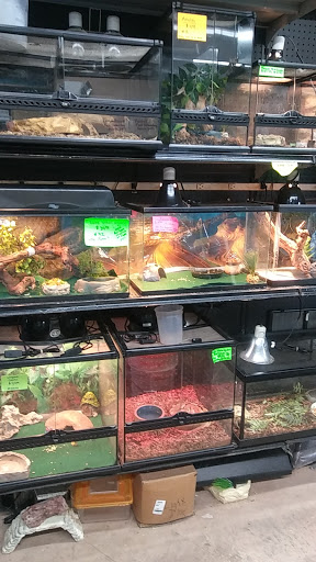 Tropical Fish Store «Magic Isle Aquarium», reviews and photos, 2350 Middle County Road​, Centereach, NY 11720, USA