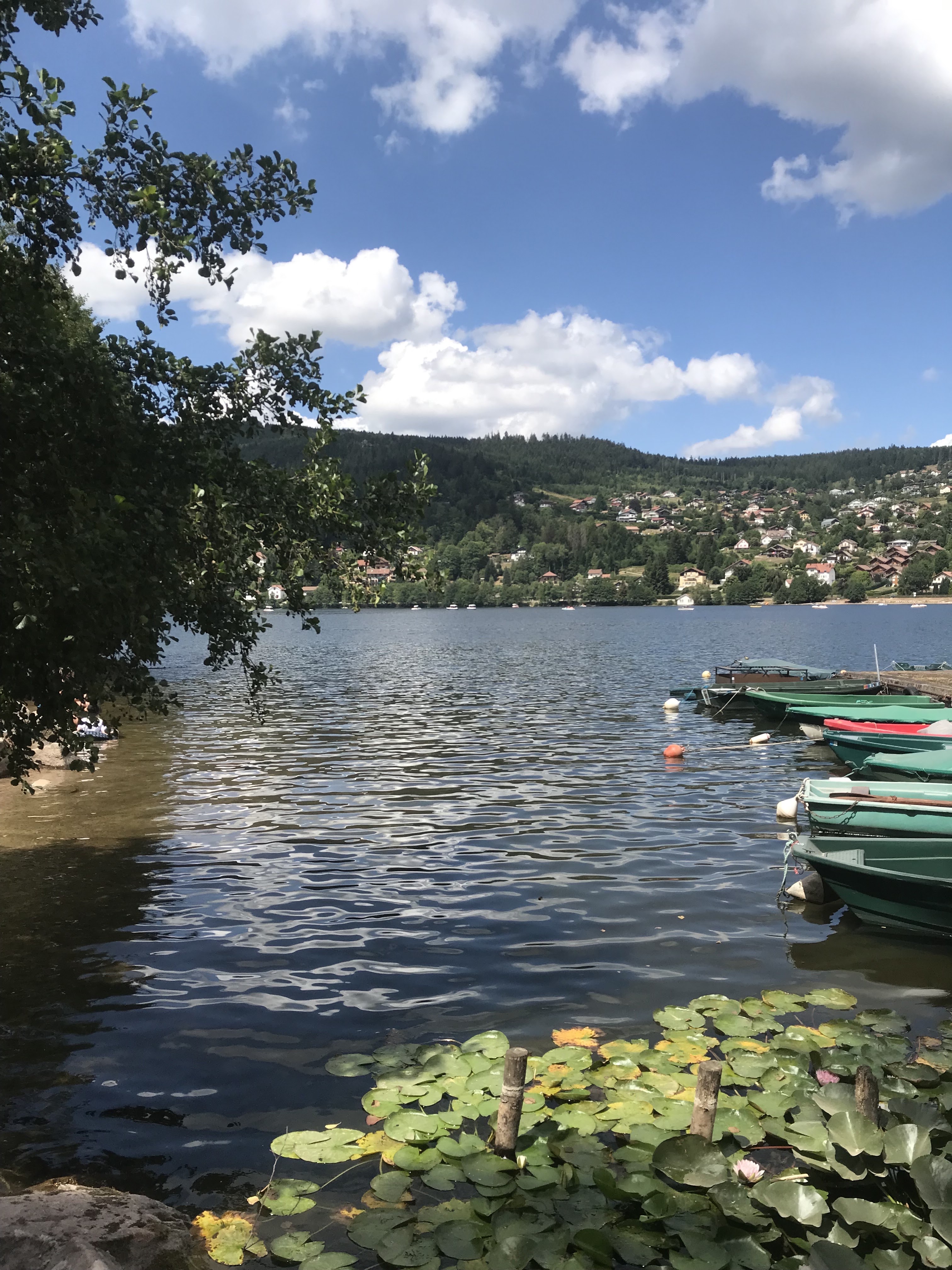 Photo n° 1 de l'avis de Elif. fait le 13/08/2022 à 12:43