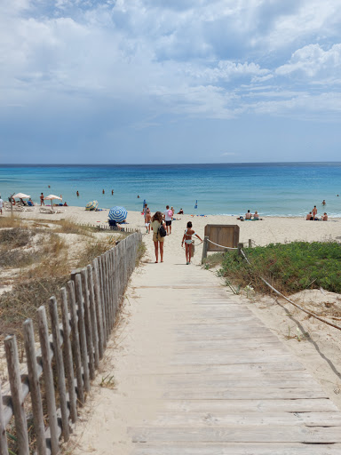 Parques para hacer picnic en Ibiza