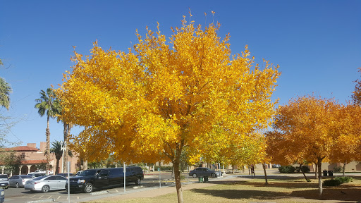 Golf Course «Encanto 9-Hole Golf Course», reviews and photos, 2300 N 17th Ave, Phoenix, AZ 85007, USA