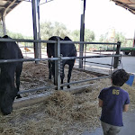 Photo n°5 de l'avis de Annalisa.o fait le 22/07/2020 à 04:08 sur le  Agriturismo ARMIENTI - Parco La Grotta à Toritto