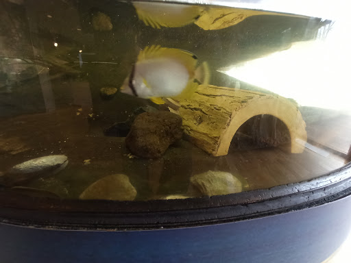 Natural History Museum «South Fork Natural History Museum & Nature Center», reviews and photos, 377 Bridgehampton-Sag Harbor Turnpike, Bridgehampton, NY 11932, USA