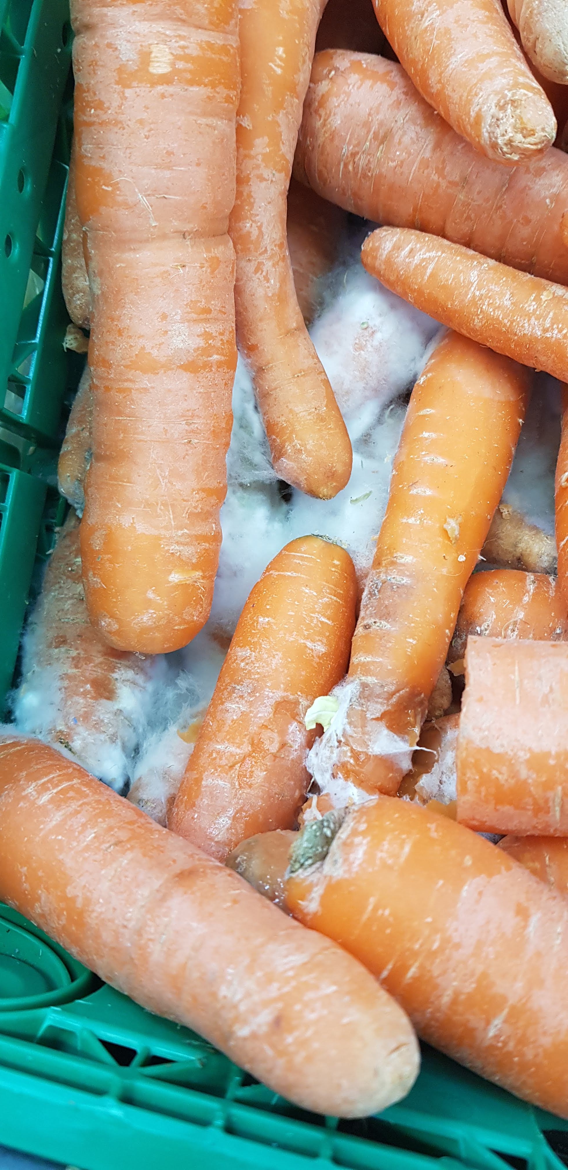 Photo n° 1 de l'avis de Emma.S fait le 23/04/2019 à 20:42
