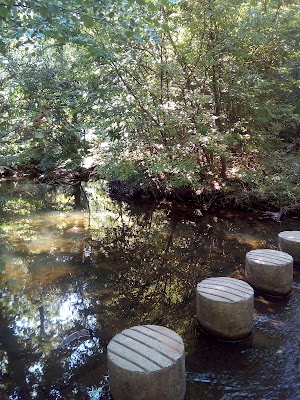Dulles Station Community Park - photo 45