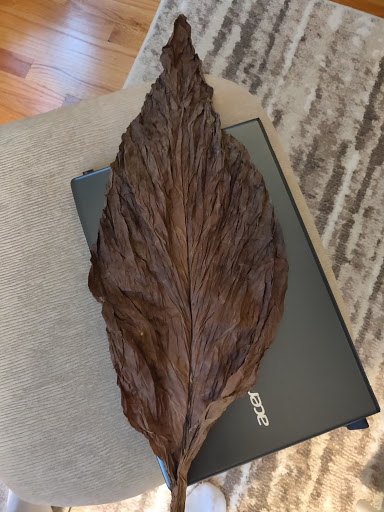 Tobacco Shop «Leaf Only», reviews and photos, 440 Middlefield St, Middletown, CT 06457, USA