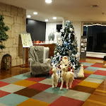 Photo n°4 de l'avis de Manuel.r fait le 05/01/2019 à 19:49 sur le  INATEL Vila Ruiva Hotel à Vila Ruiva