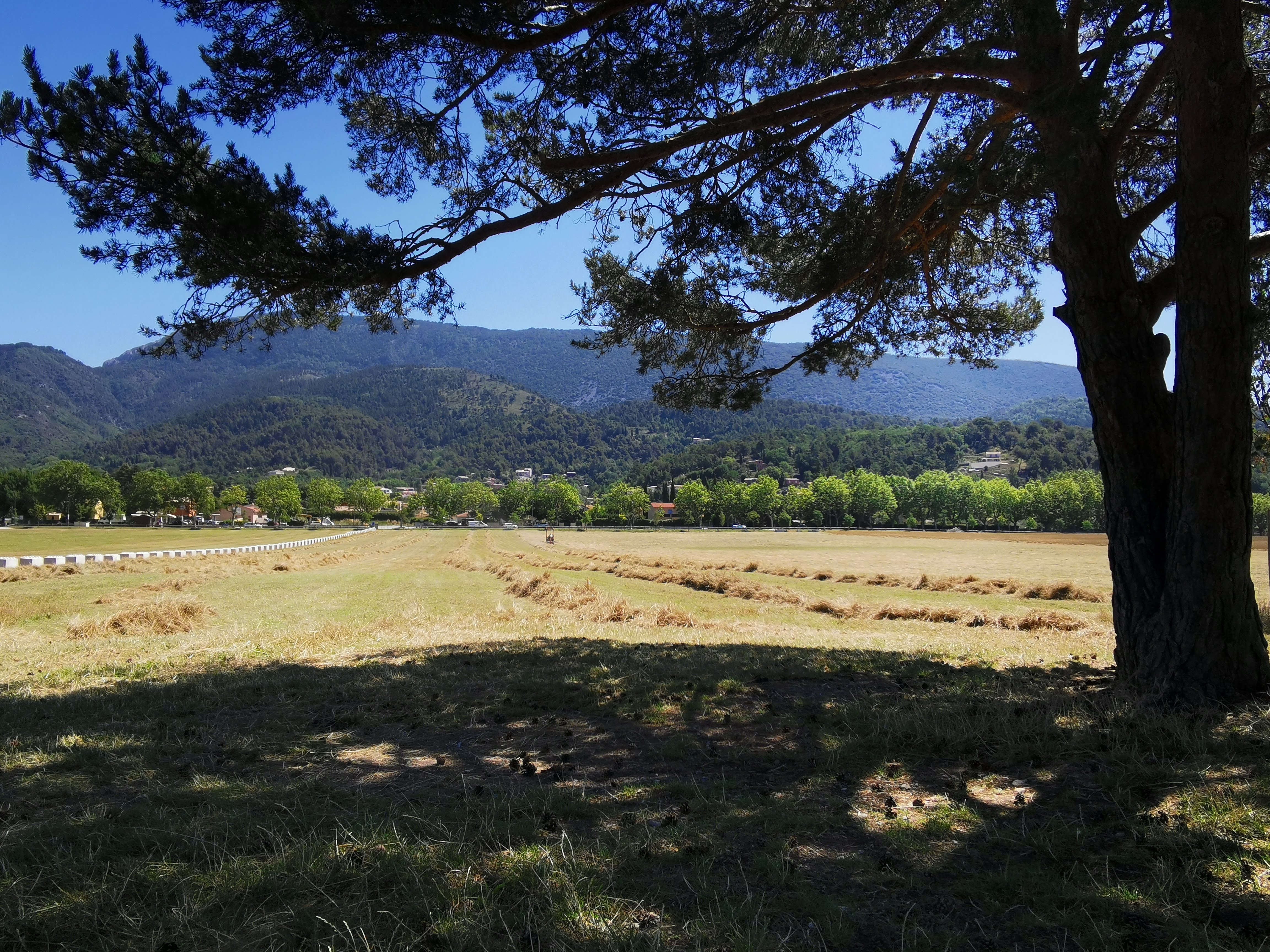 Photo n° 1 de l'avis de Olivier.O fait le 12/07/2022 à 18:03
