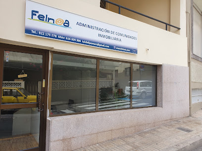 Felnoa en El Medano