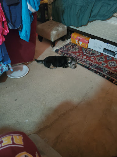 Pet Supply Store «Petco Animal Supplies», reviews and photos, 8909 Branch Ave d, Clinton, MD 20735, USA