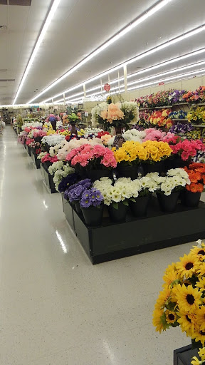 Craft Store «Hobby Lobby», reviews and photos, 205 S Point Blvd, McDonough, GA 30253, USA