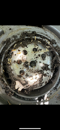 Rudy's Exterminating Co Inc - Photo 3 - Car repair in Astoria, NY, Queens