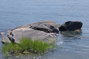 Cove Beach North image